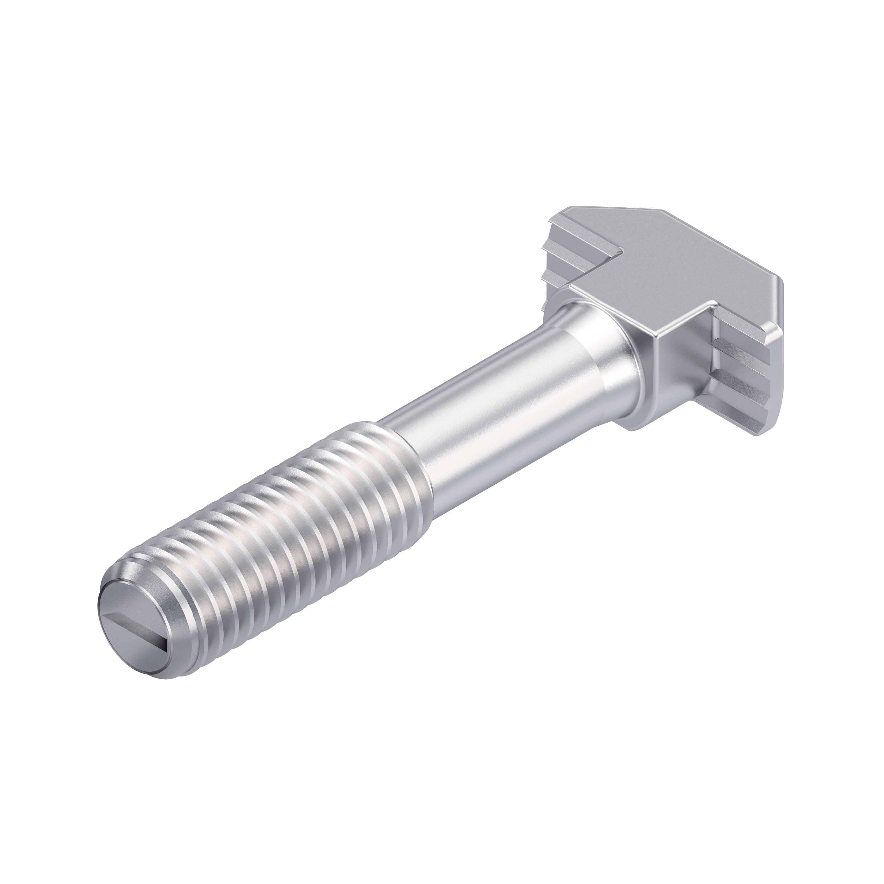 T-bolt M8x45, Slot 10, ESD - Bosch Rexroth 3842563312