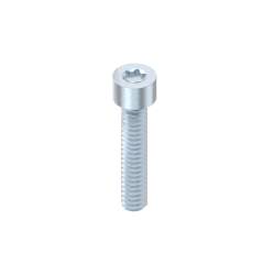 Schraube S6x30 für Eckverbindung von Schutzrahmen, Stahl, verzinkt, Nut 8, ESD - Bosch Rexroth 3842567978
