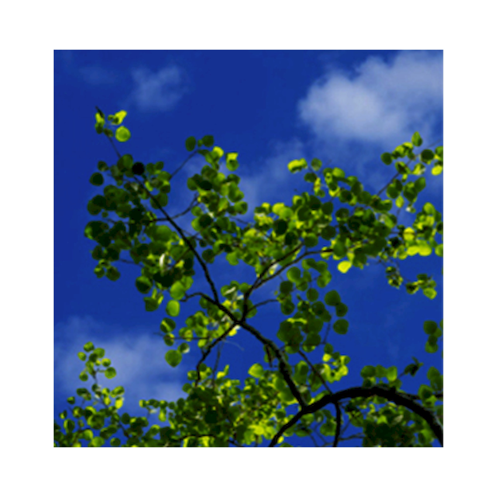 C95-R600x600 Einbauleuchte - Glamox 960855BB03