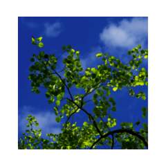 C95-R600x600 Einbauleuchte - Glamox 960855BB03