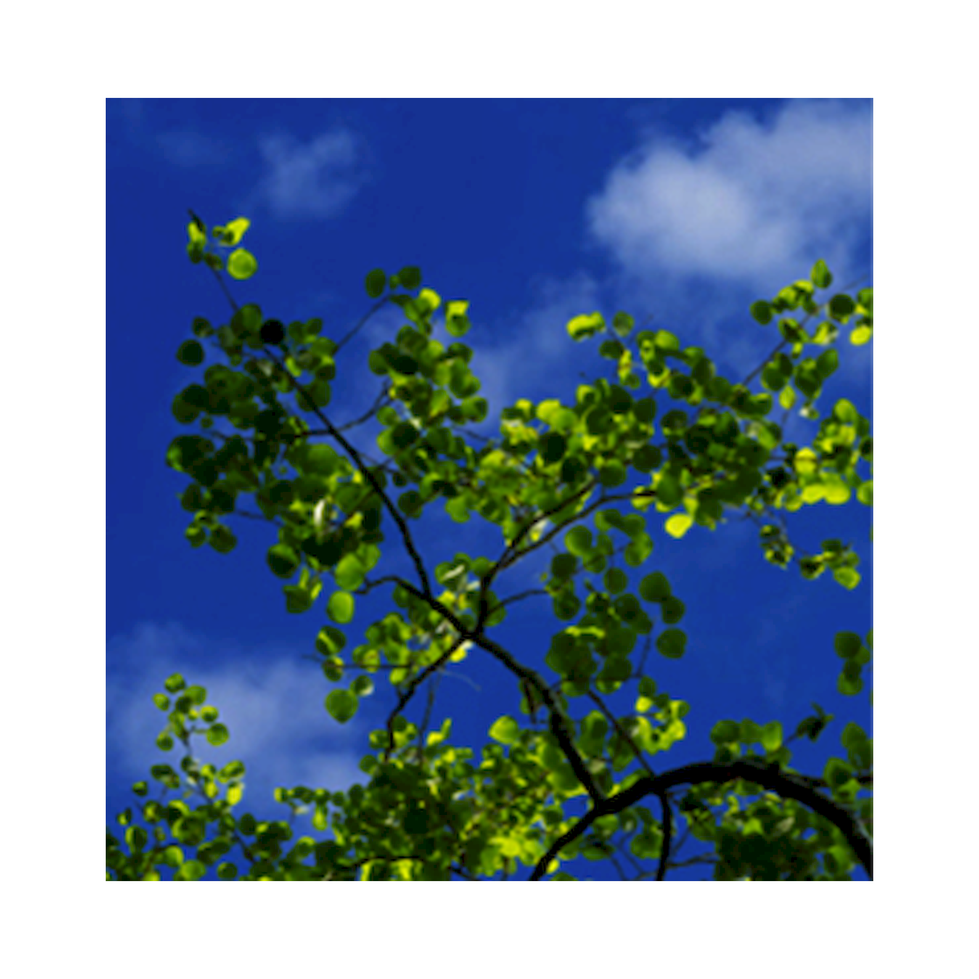 Glamox C95233600. Innenraumleuchten C95-R600x600 LED 1300 DALI 827-865 CCT LI SK10