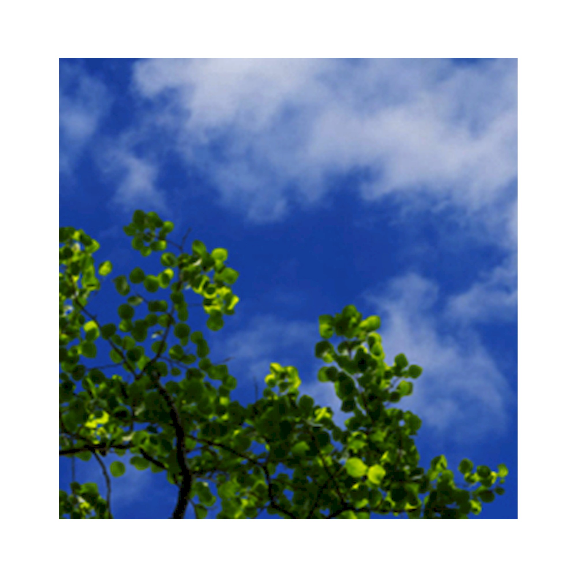 C95-R600x600 Einbauleuchte - Glamox 02E67BA464