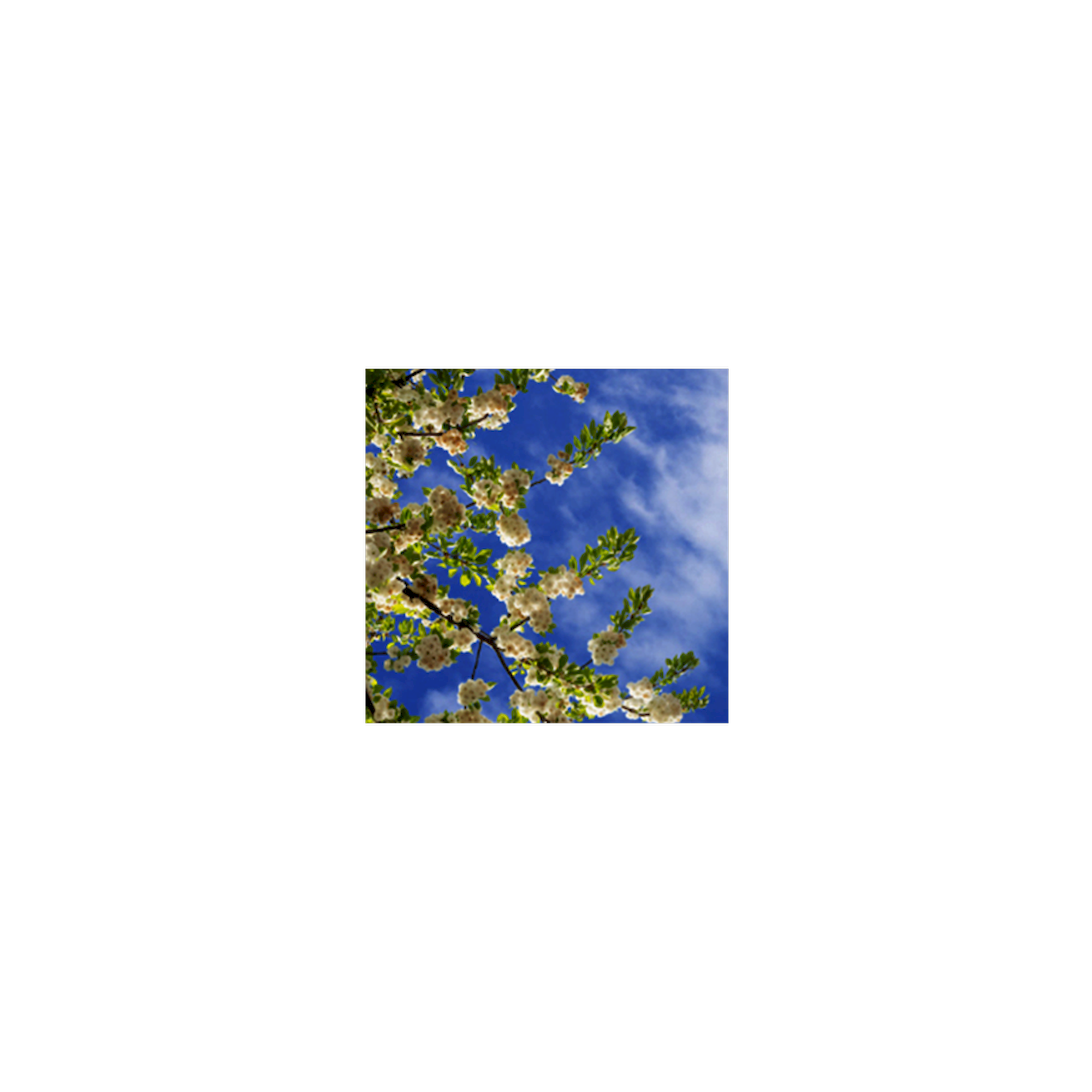 Glamox C95233601. Innenraumleuchten C95-R600x600 LED 1500 DALI 840 LI SK1