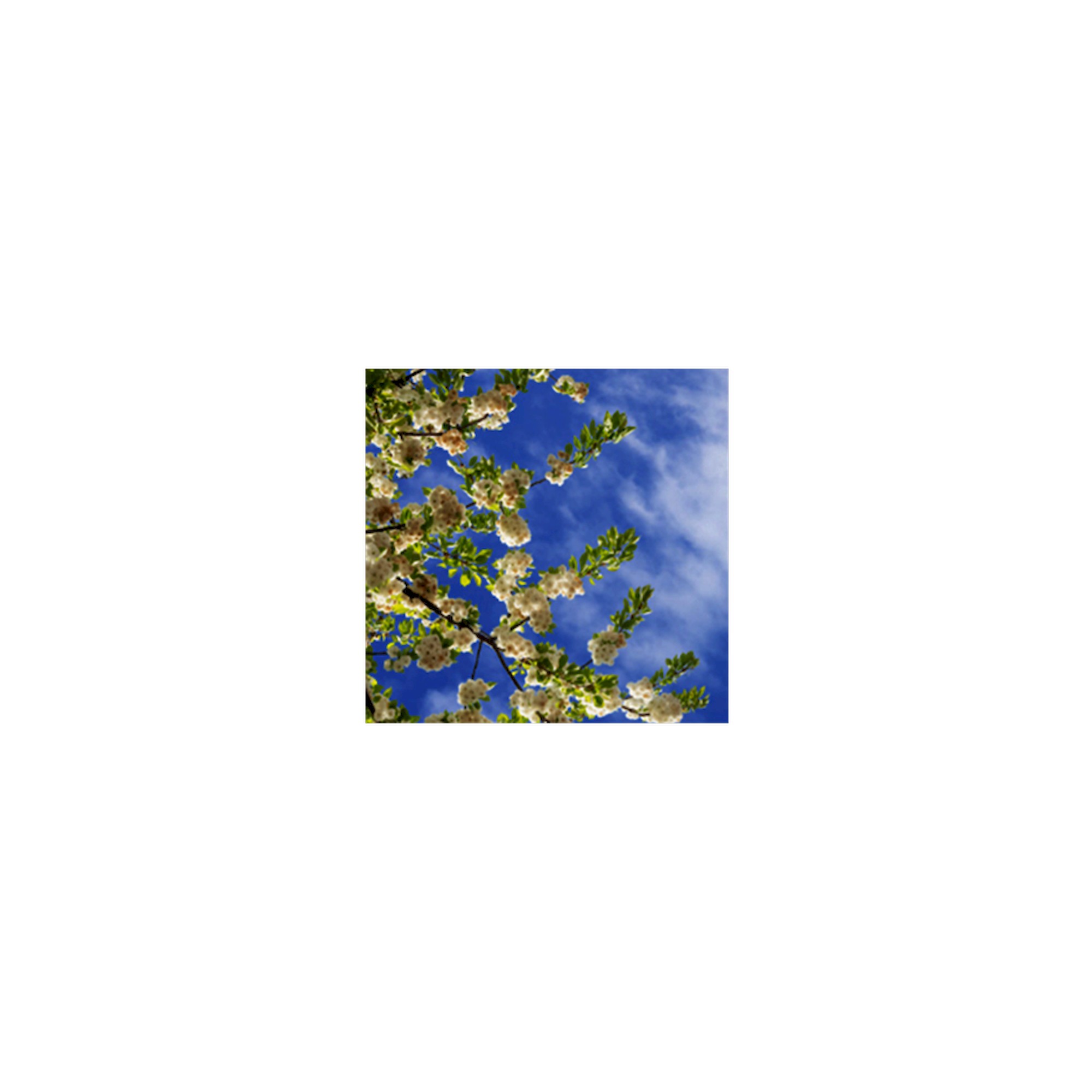 C95-R600x600 Einbauleuchte - Glamox 22E4B17CEC