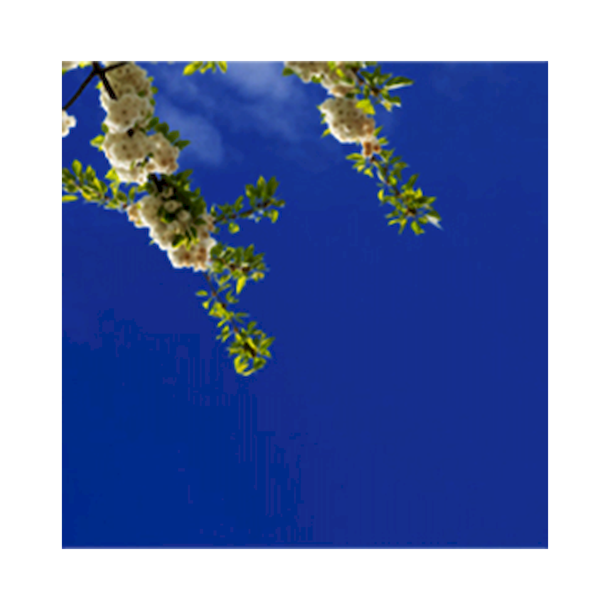 Glamox C95233605. Innenraumleuchten C95-R600x600 LED 1500 DALI 840 LI SK5