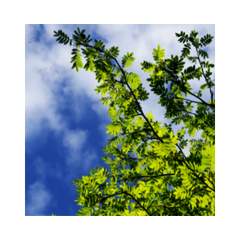 C95-R600x600 Einbauleuchte - Glamox 7118606DBD